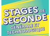 Stage de seconde 