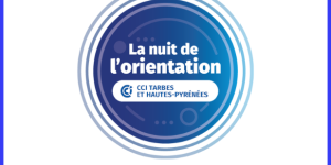 NO 2025 CCI 65